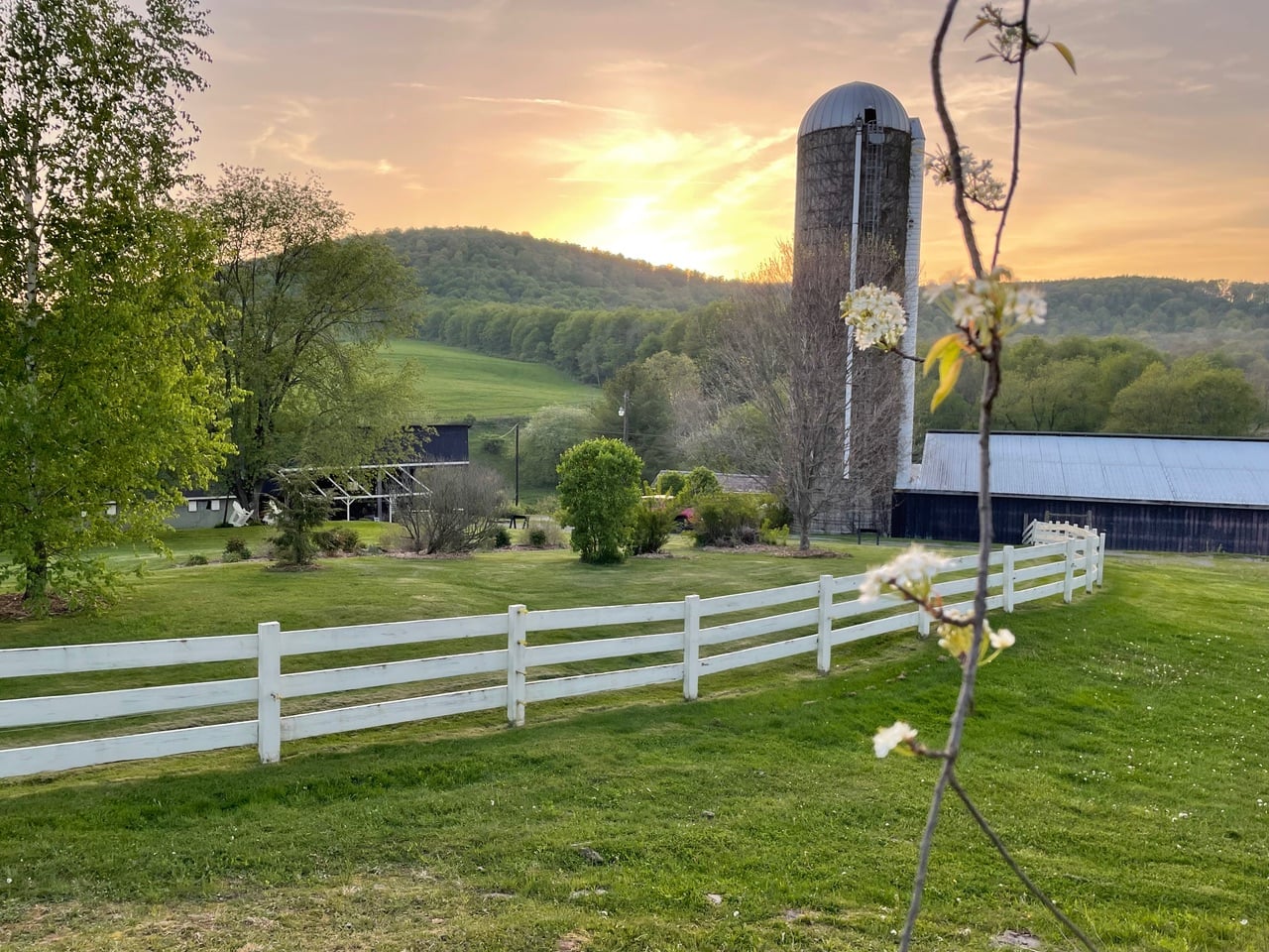 Branch Bender Cidery